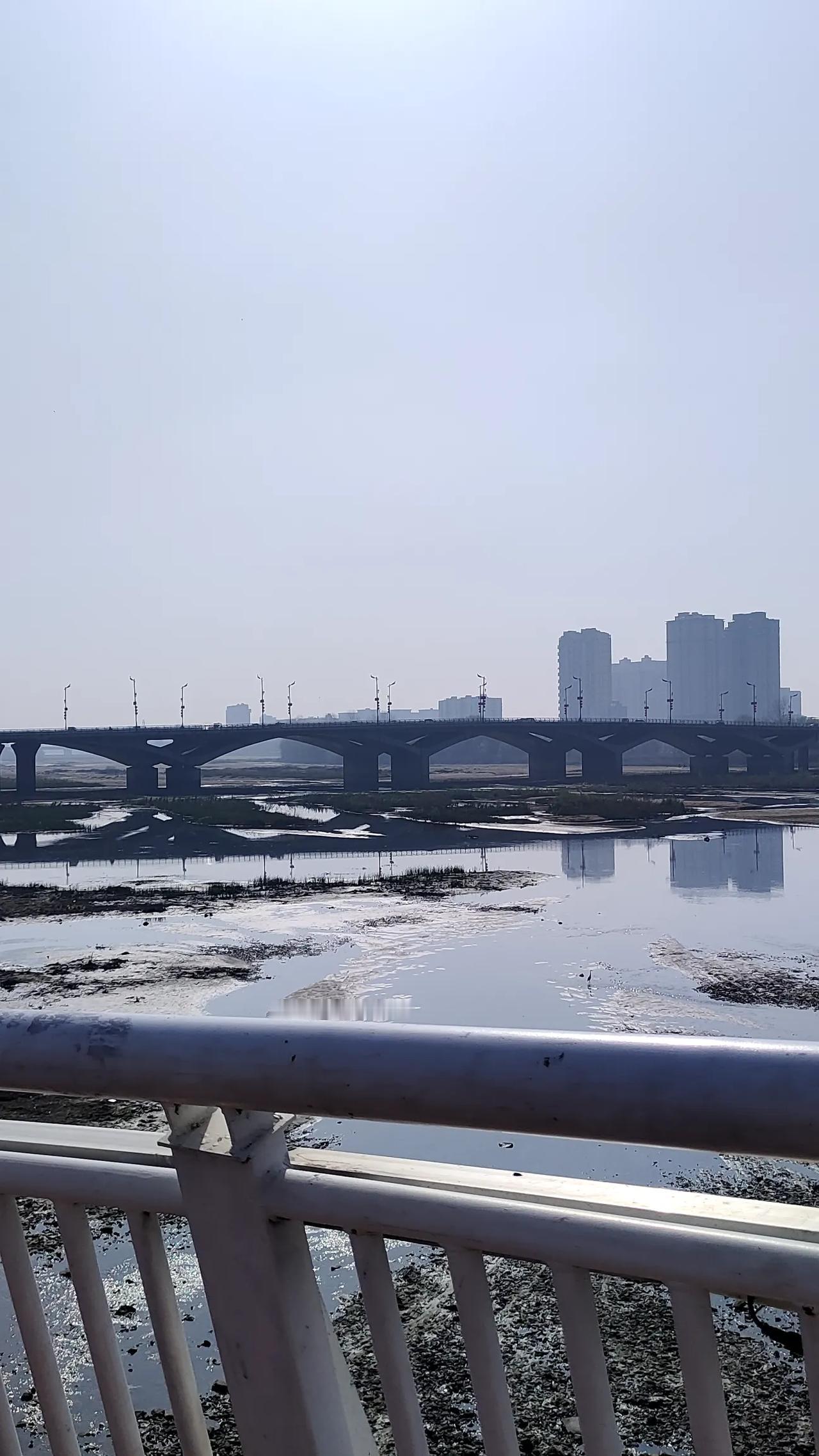 夏日生活打卡季昨天雨下那么大，想着白河会涨水呢，想不到河底还是这么干呀！