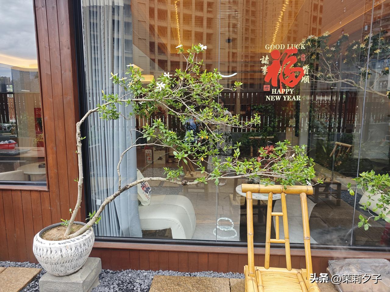 老城深处，旧房焕新，装修简奢各异，只求自在得宜、舒心惬意。于屋顶辟一方闲逸天地，