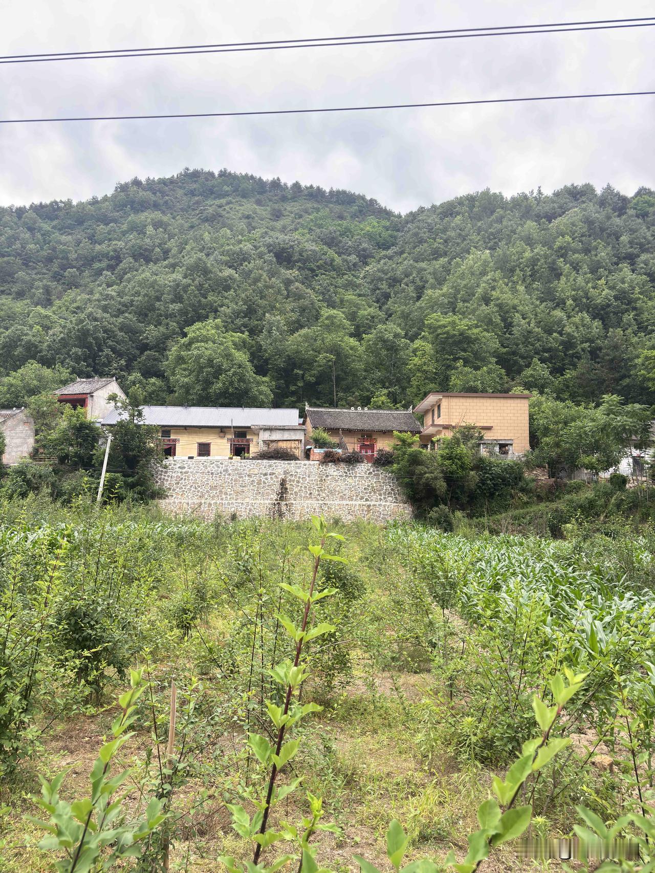 商洛韩峪川随拍，这里景色不错，夏天很凉快，适合自驾游，不过不能露营，河道水小的很