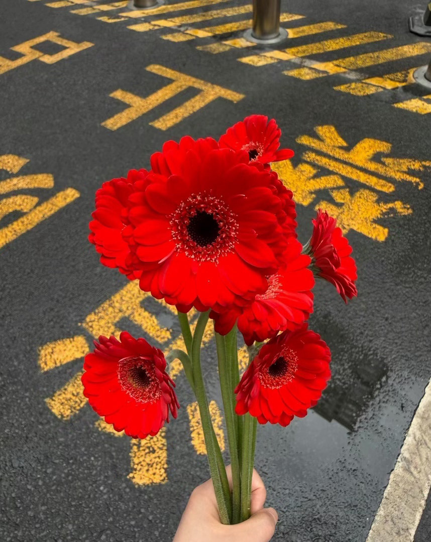 你可以为打翻的牛奶哭泣 那是你完整的情绪 