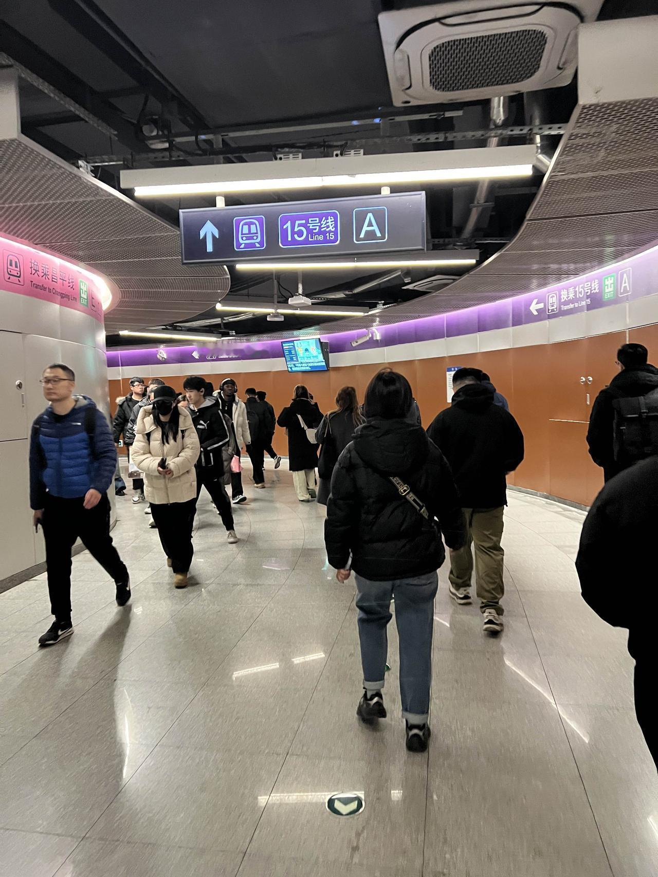 二十多年前服务北京朝阳公园南门的一个售楼处种植棕榈树的豪宅项目时，给过一句今天已