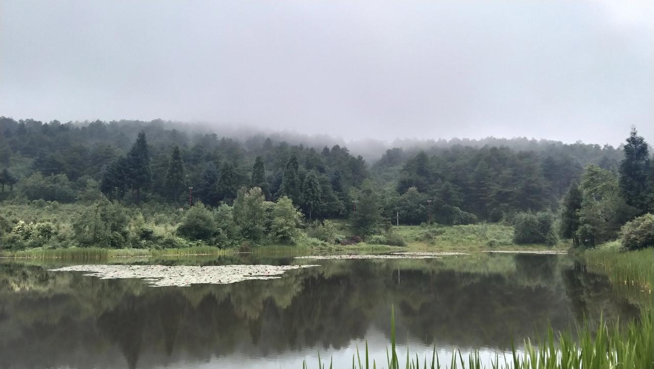 晚上睡不着我就会想三个事情:

第一个，最想身边有个陌生异性陪；

第二个，喝点