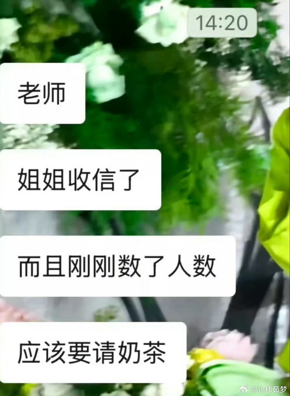 鞠婧祎万花世界杀青请客 小鞠请客了星巴克唉，还记得当年芸汐传杀青请粉丝喝4000