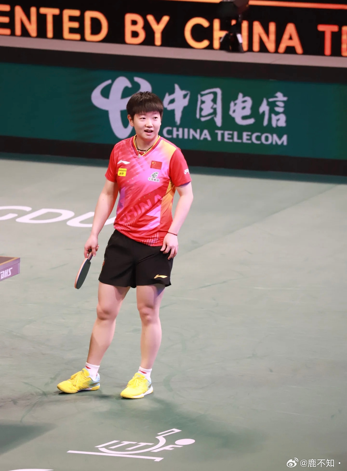 不是站姐但是小莎莎我宣你