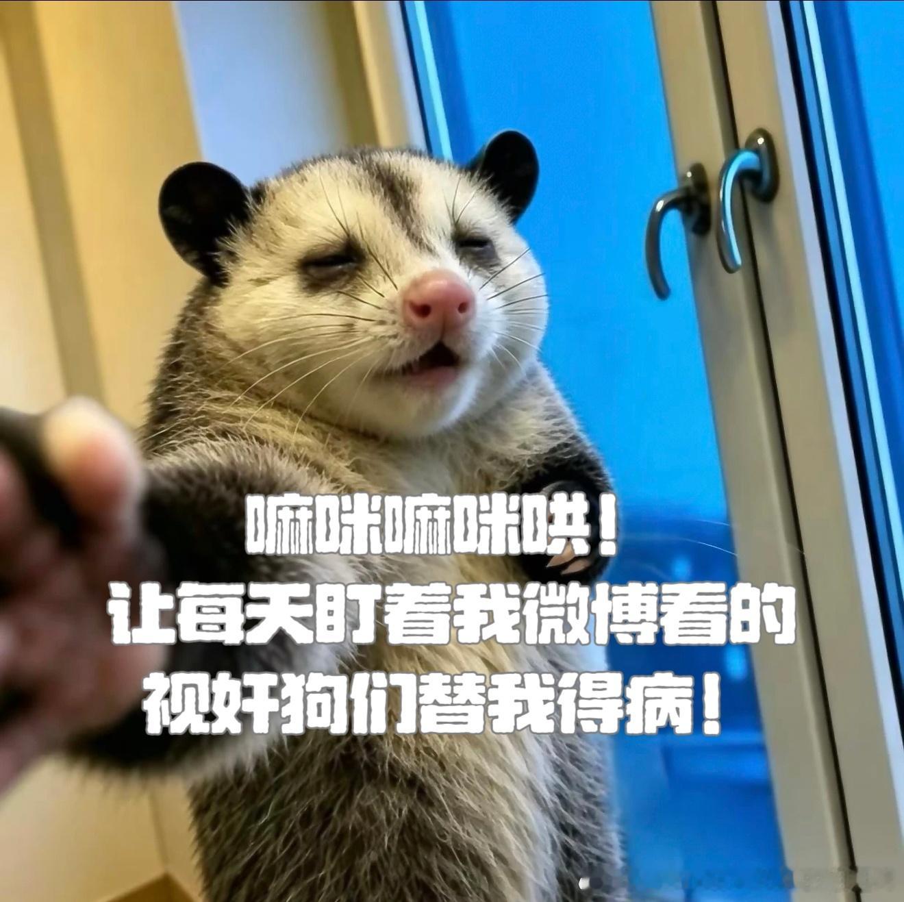 把我的病都给每天盯着我做白日梦的辣鸡们！不是爱我吗？爱我就替我得病啊！