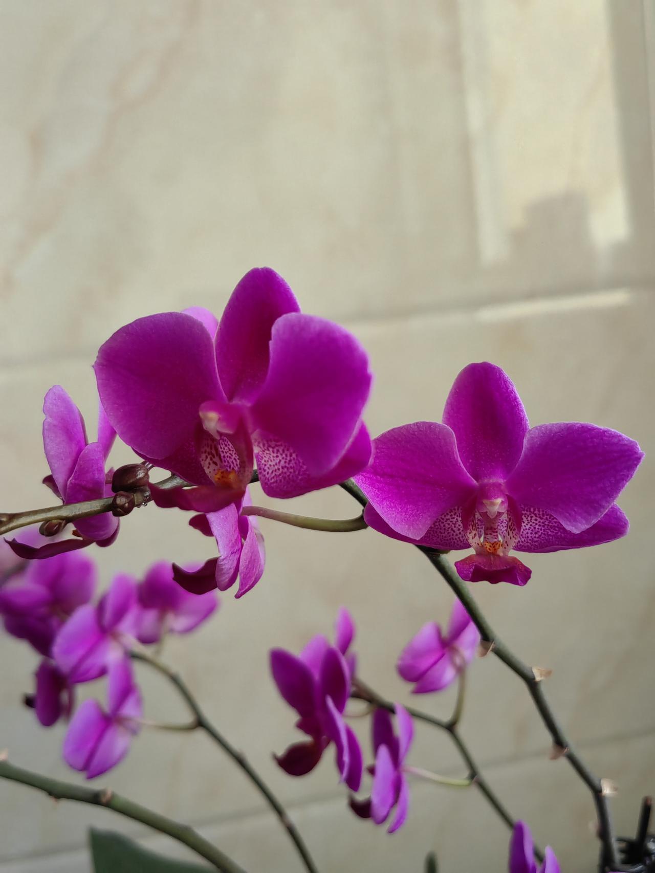 结束最后一天的工作，不用再惦记早起打卡，不用纠结加班琐事。卸下一身疲惫，抛开所有