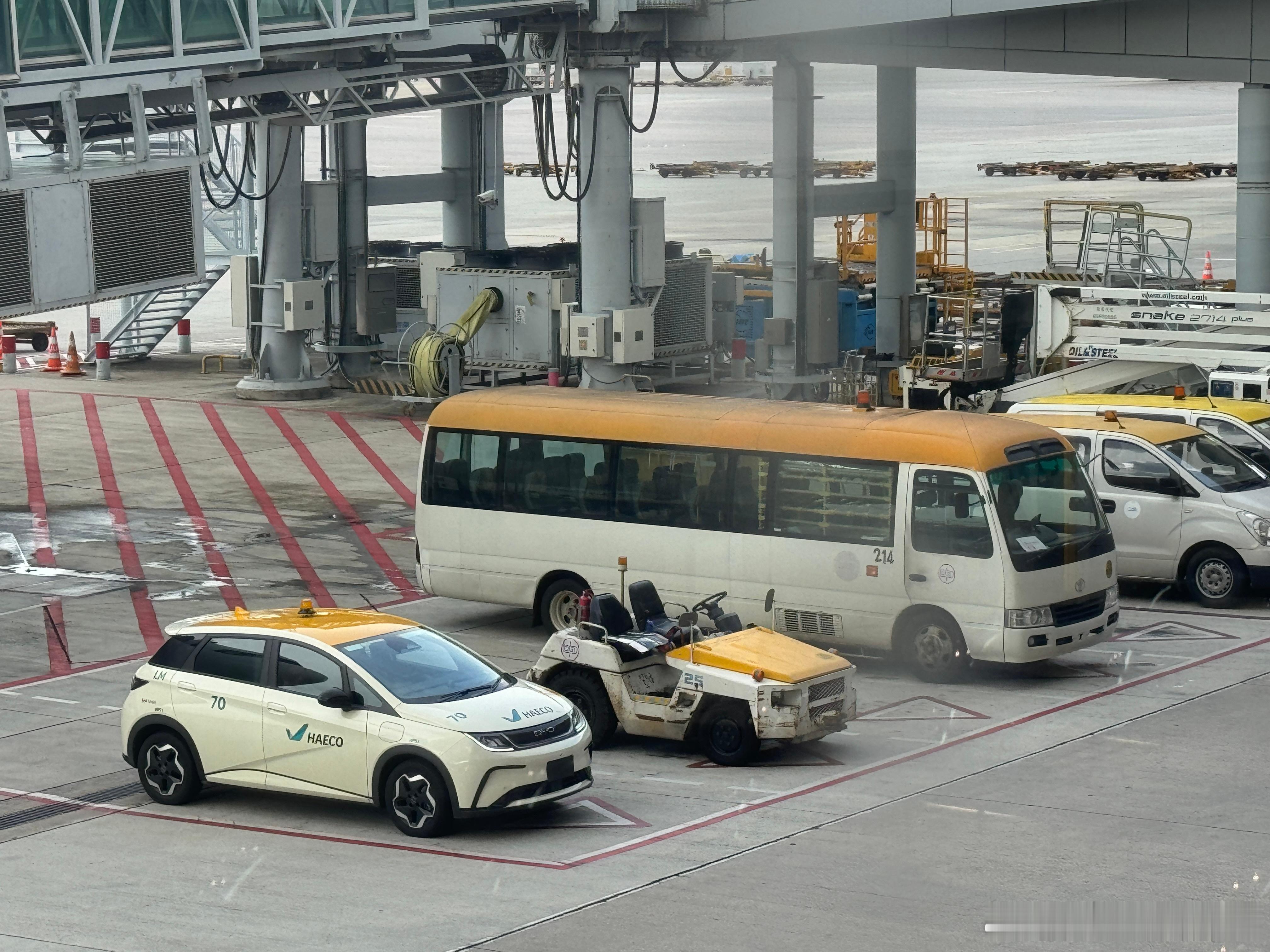 香港机场地勤居然有比亚迪海豚[doge]  ​​​
