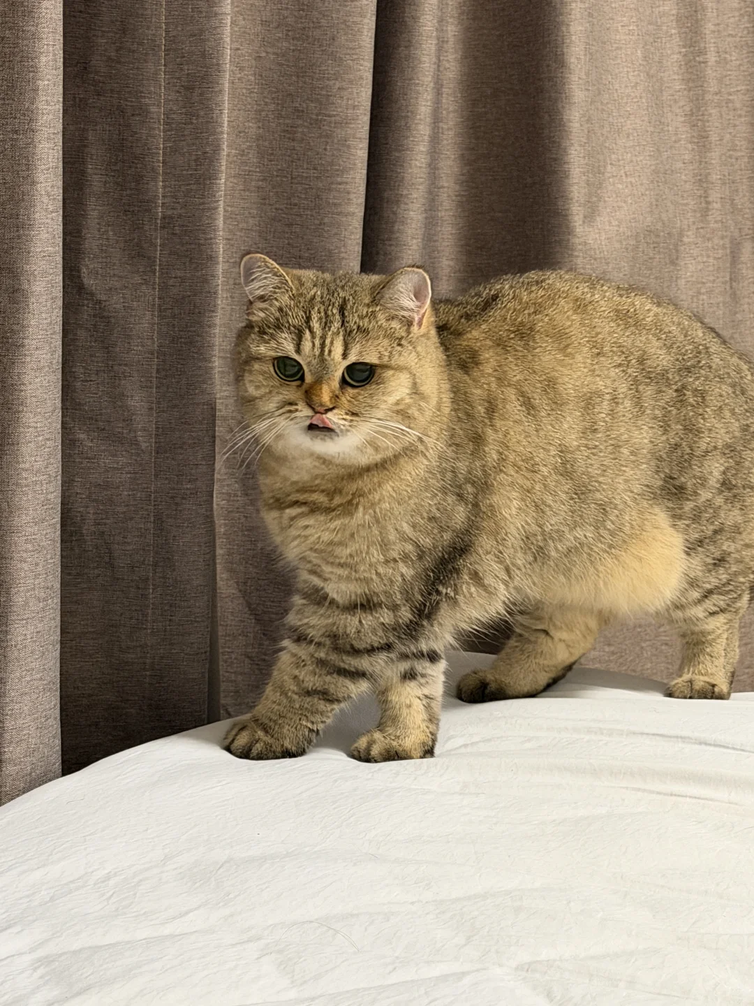 小宝的肚子duangduang的～