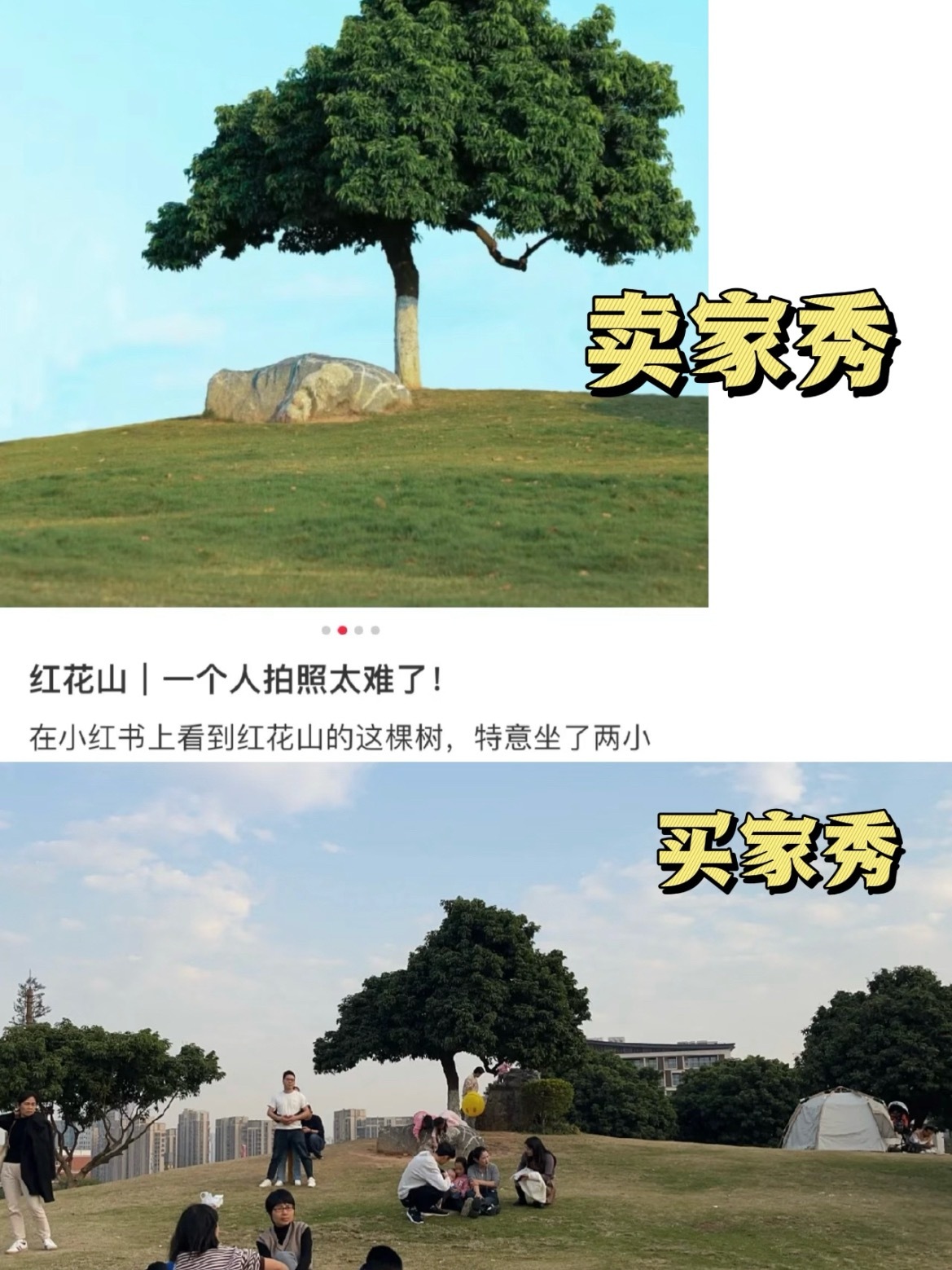 我要把这群P图的统统抓起来，包括我自己你一p我一p到了景点全懵圈有点东西