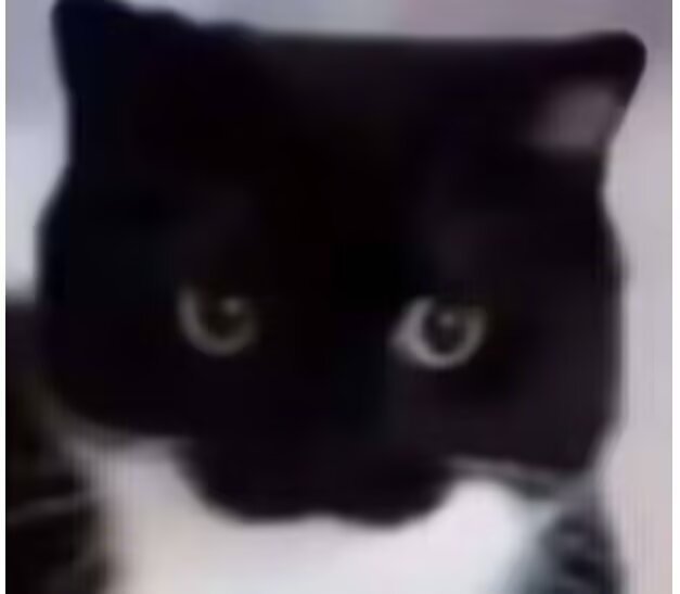 香油这个工地太无敌了，没盔没背心没安全带40层竹棚子，今夕是何年？ 