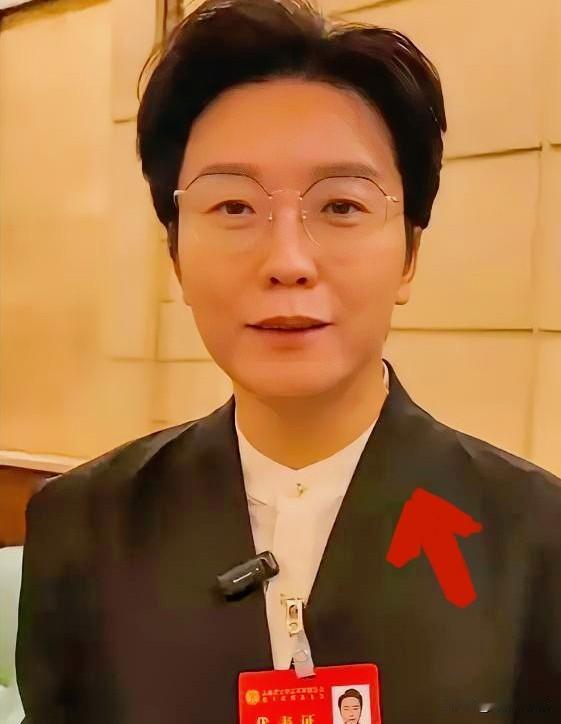 演员李玉刚成了副厅级干部？最近，李玉刚获任新职，出任吉林省文联兼职副主席，看到这