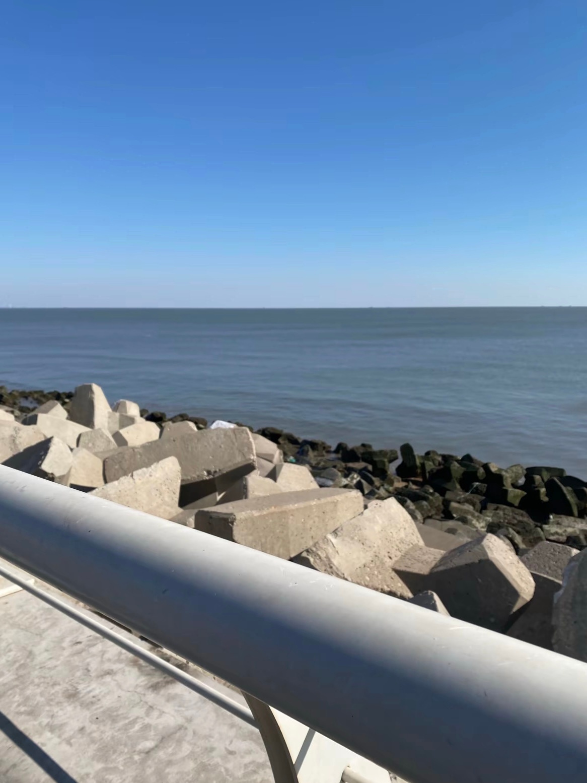 青春原是时光长卷里最华彩的独幕剧。我们站在命运聚光灯下，以心跳为鼓点，以热泪为和