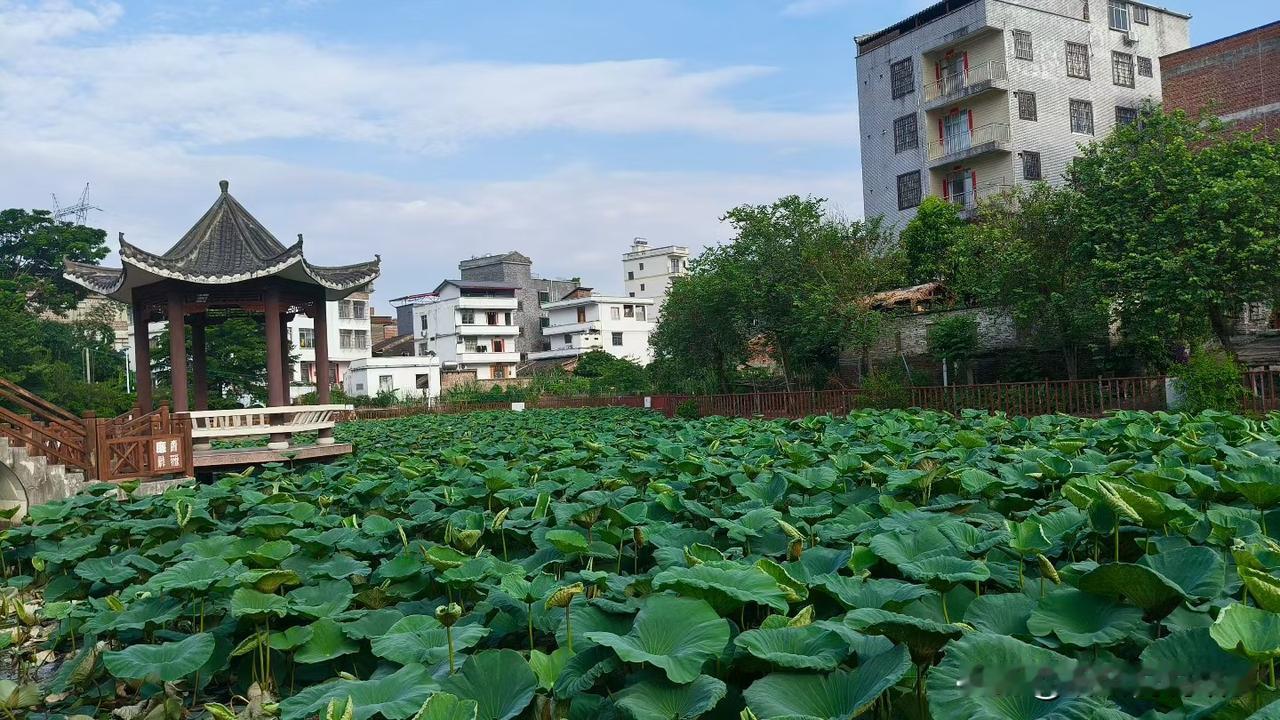 ❤️纵观人生干事：万变不离其宗！初心决定未来。种什么因，得什么果。干一番事业，立