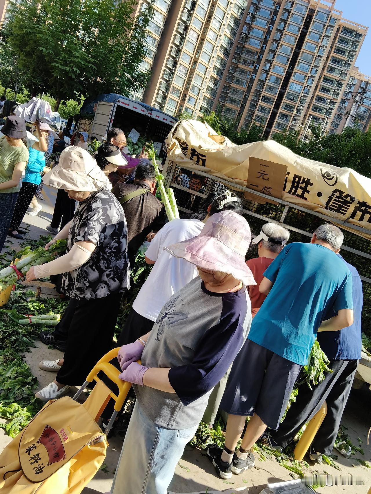 今天早上在兰州市七里河区马滩中路这边一个市场，马路边有一辆车上面拉的全是笋子。