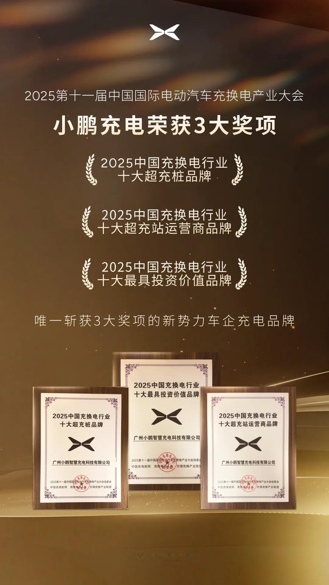 作为中国充换电领域最权威、最专业的品牌评选活动之一，小鹏充电在智能化精细运营、超
