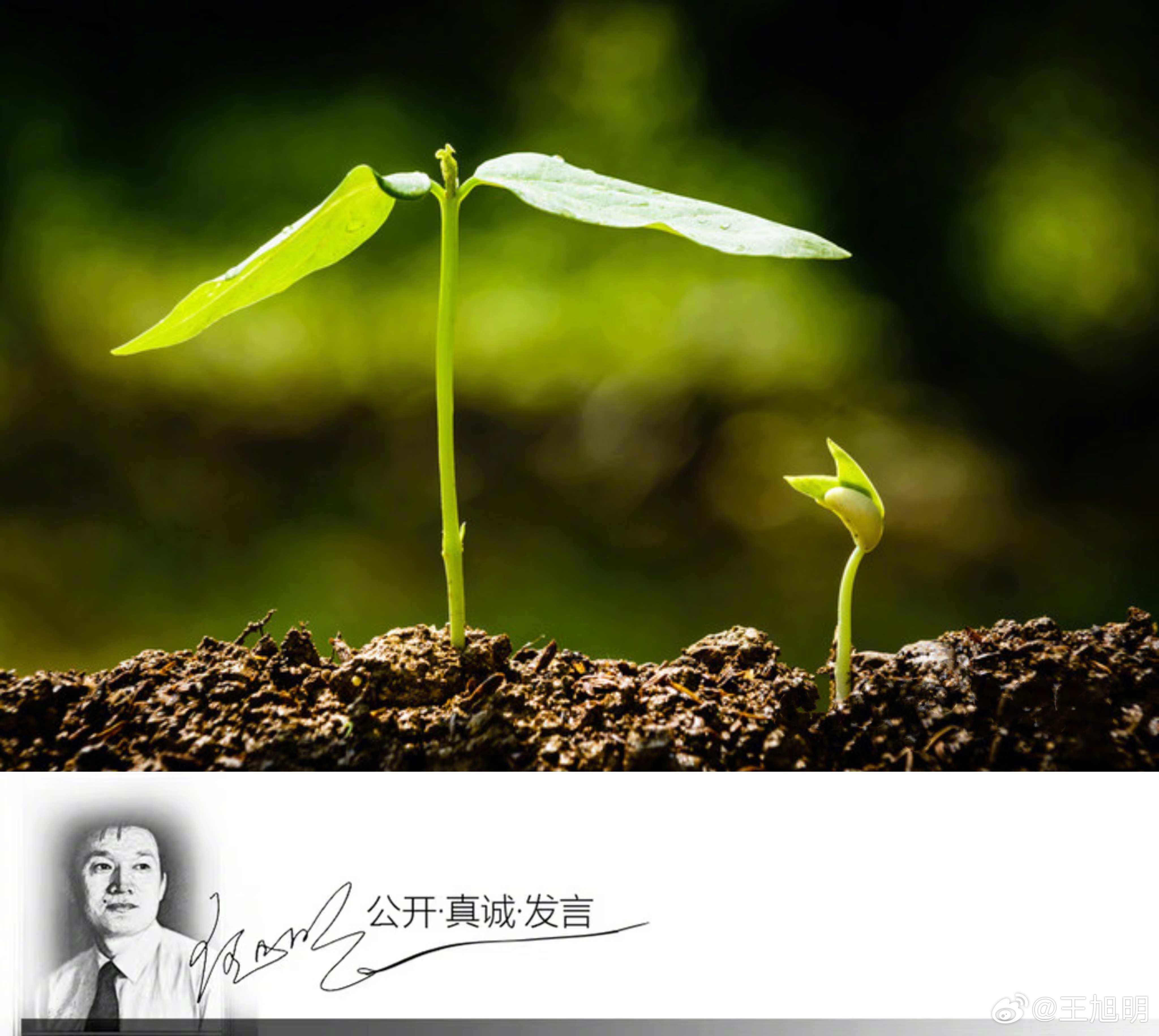 #明说真语文#看到一则广告：某某放歌，某某联袂大合唱；某地希望，你我他携手谱新篇