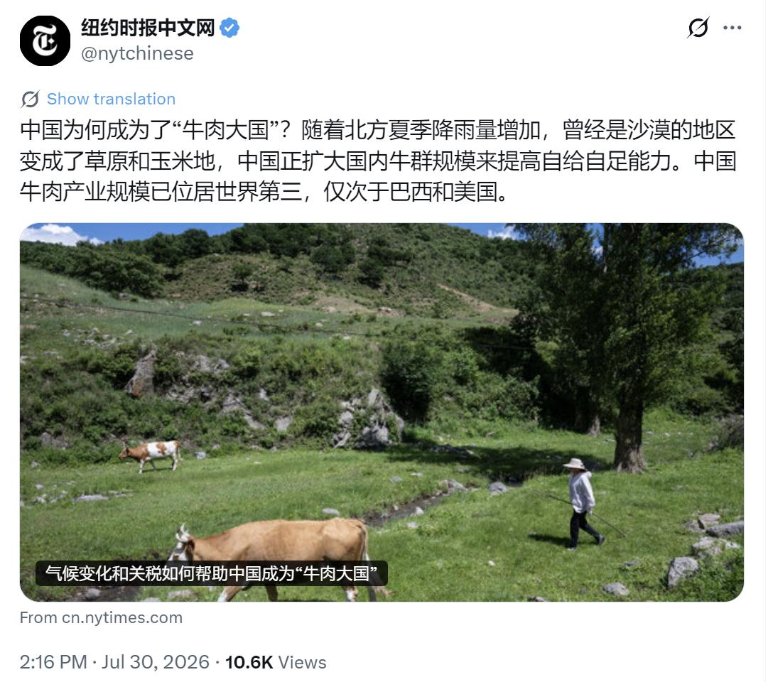 纽约时报中文网今天（7月30日）写道：“中国为何成为了‘牛肉大国’？随着北方夏季