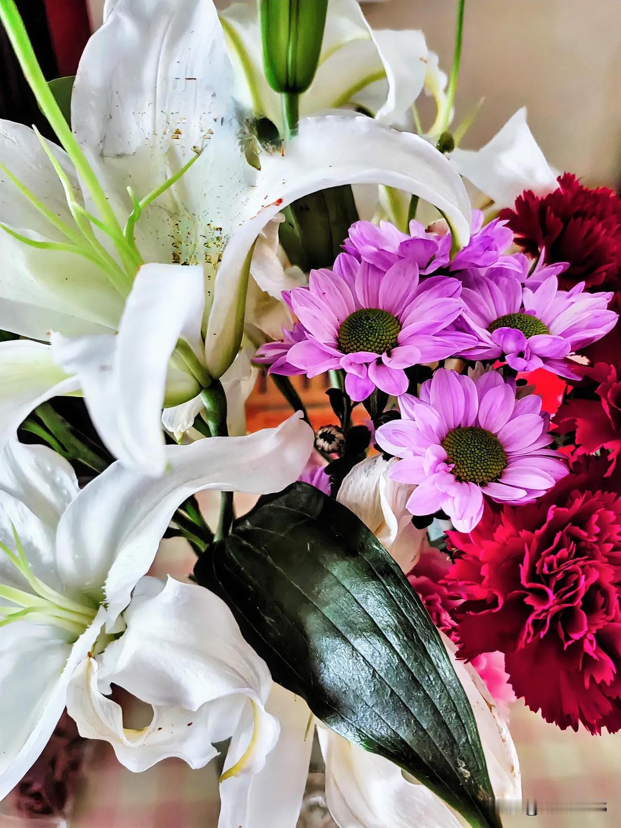 ☀🌼每日一悟
我们想幸福，
咱们就糊涂点；
我们想健康，
咱们就轻松点。

我