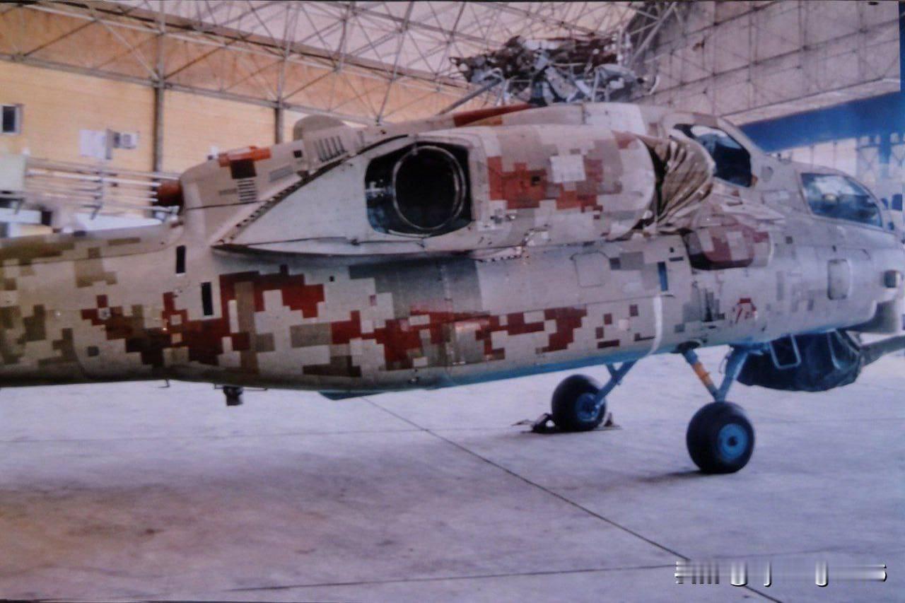 🇮🇷伊朗接收首批米-28NE“夜间猎手”直升机

根据2023年签署的一揽子