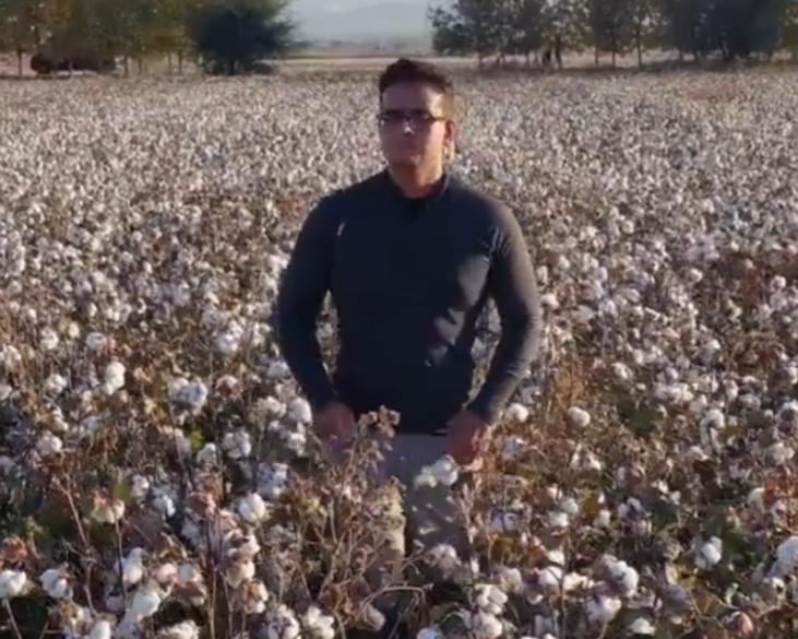加拿大博主在新疆参与采收超100吨棉花，全程见证作业全过程，高度机械化的棉田面前