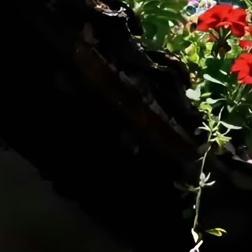 每日一善 阳光信用每日一善 自己丰富才能感知世界的丰富；自己好学才能感知世界的新