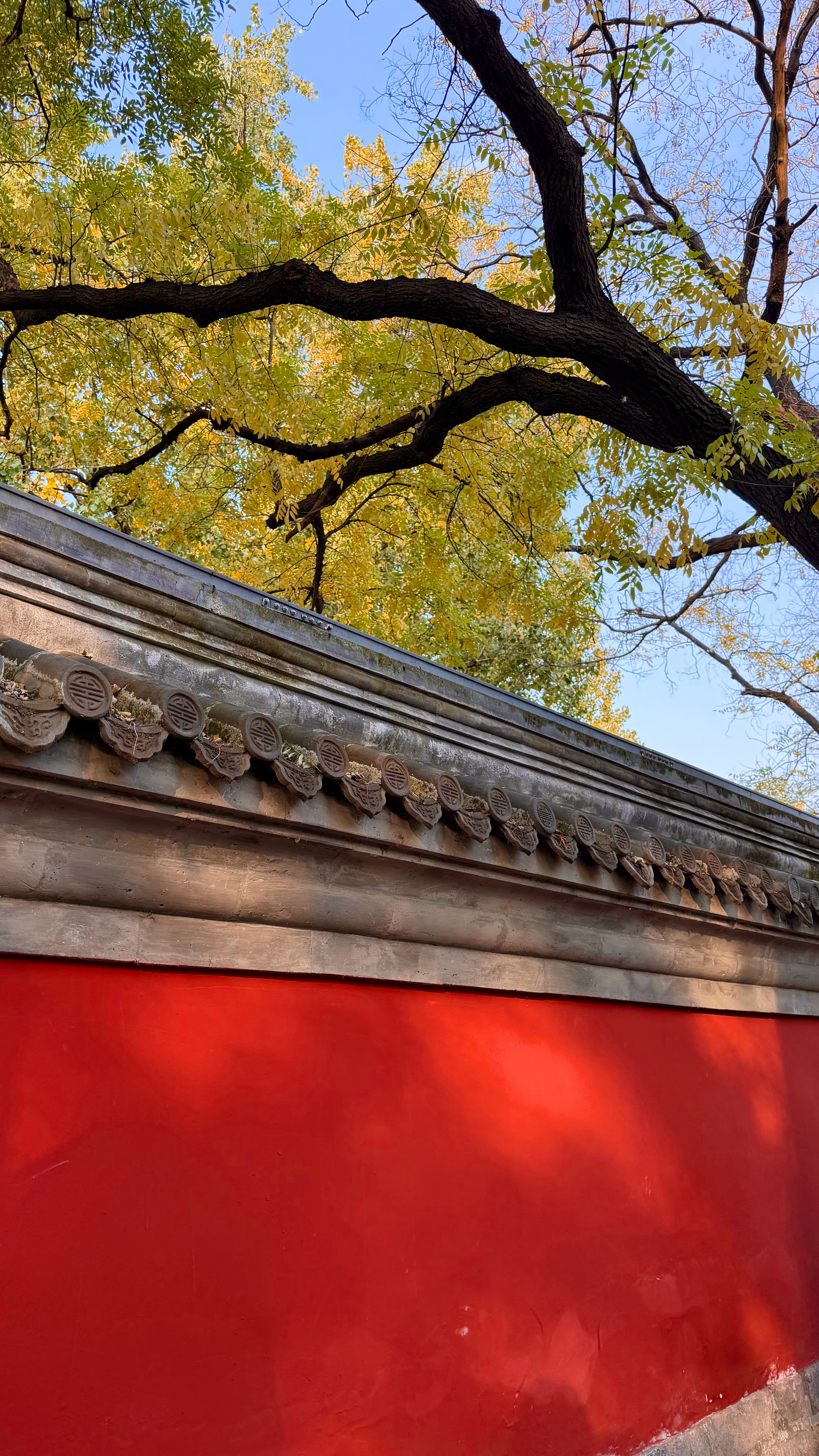 又要到我最最最喜欢的季节了🍂 ​​​