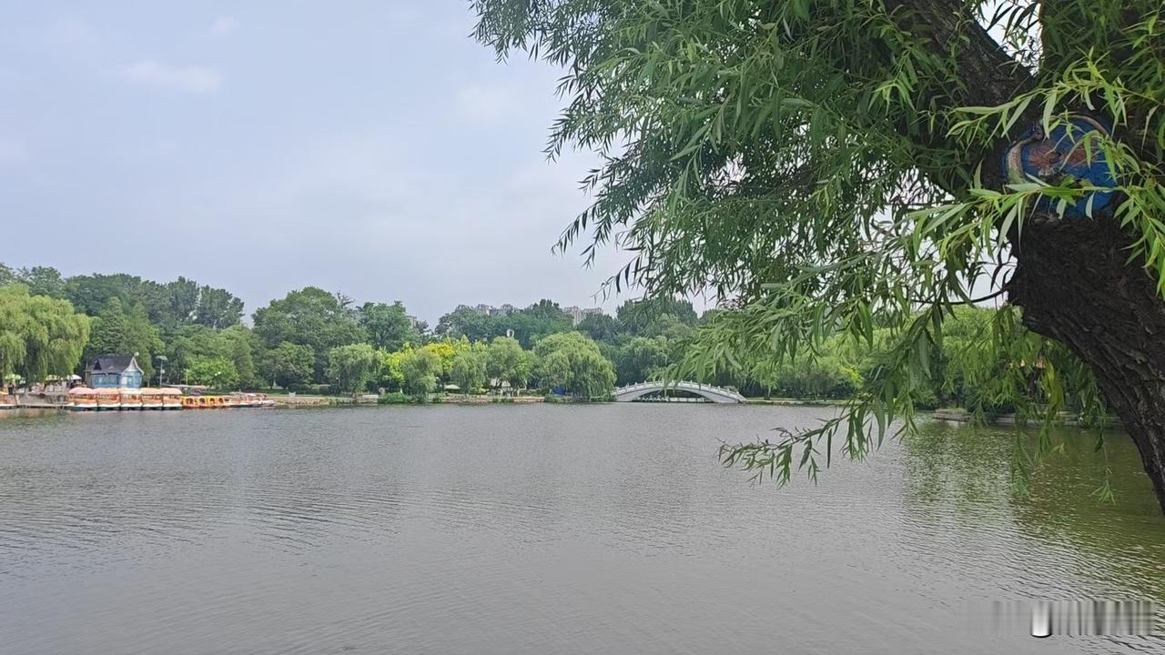 a股震荡分化结构性行情，并不是要暴跌，也不会大涨，
这时候，是妖股出现的时机，
