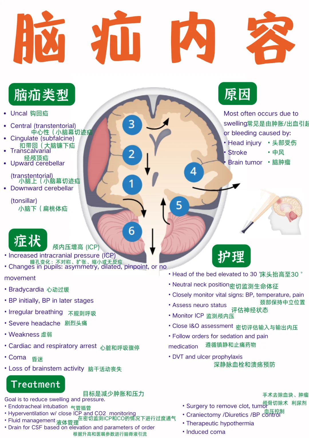 备考RN/脑疝内容！！学！！单词