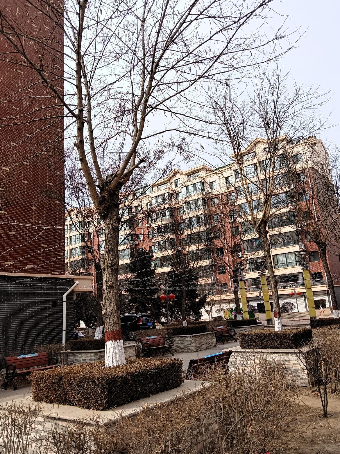 冬日暖阳下的静谧公园，红砖建筑与绿植相映成趣。大年初一拍照留念。