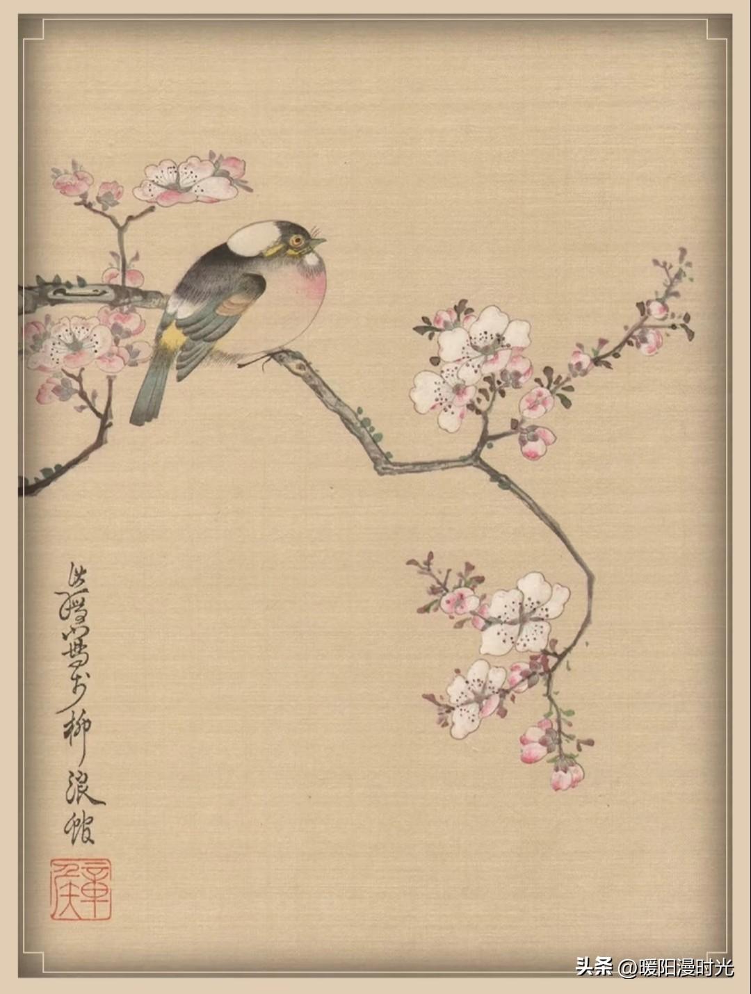 草木有灵，花鸟含情，古卷里藏尽春光。
像素迹Pixélith陈洪绶花鸟工笔画分享