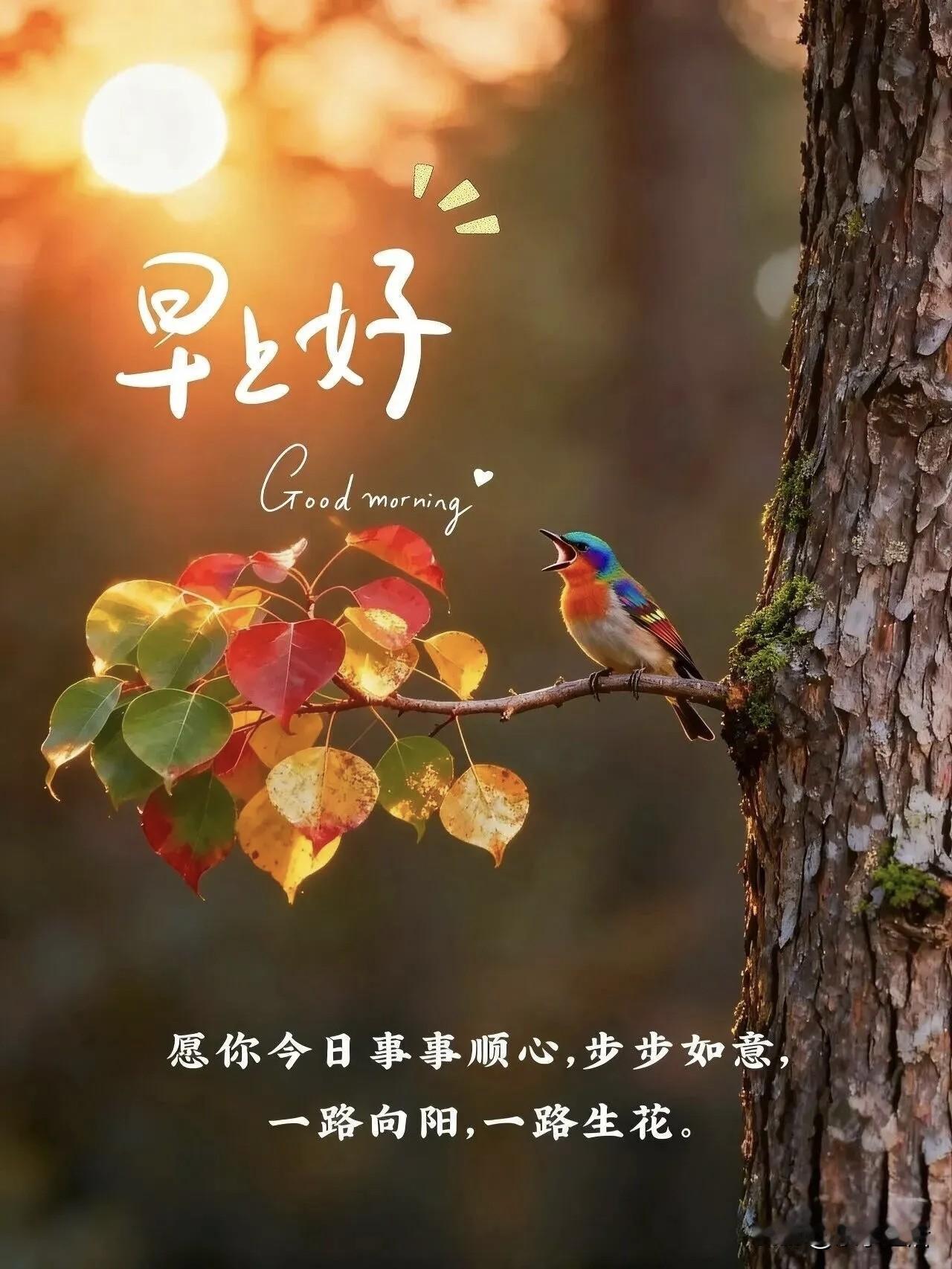 收集晨光☀️，收集鸟鸣🐦
收集每一份善意的温度。
心里装满阳光，
才不怕人生的