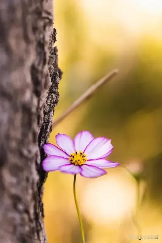 一位网友感慨:
“别以为少妇很干净，昨天送走了惠州一位45岁的大哥，艾滋病的并发