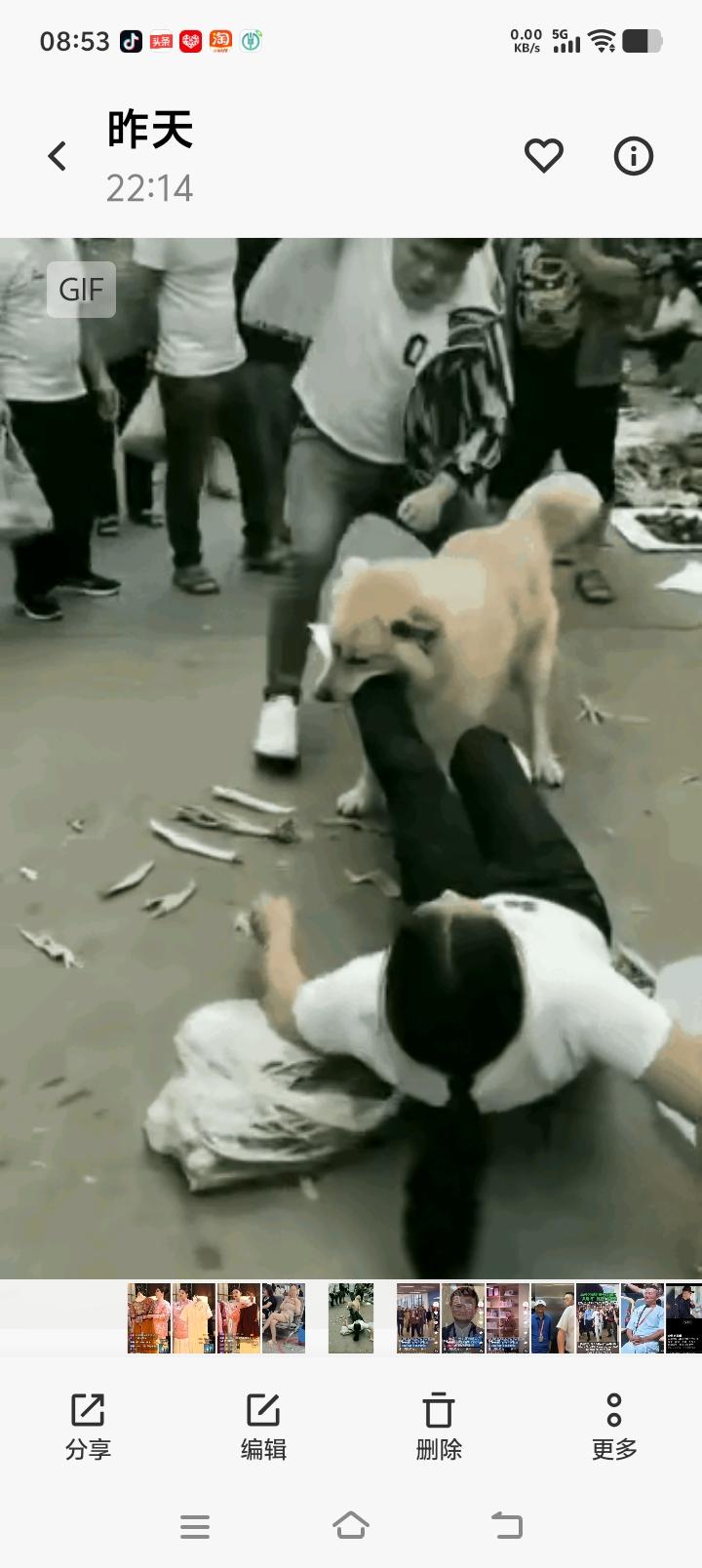 恶狗咬人，让人毛骨悚然！

 在露天的农贸市场一个男的领着一个个大金毛， 大金毛