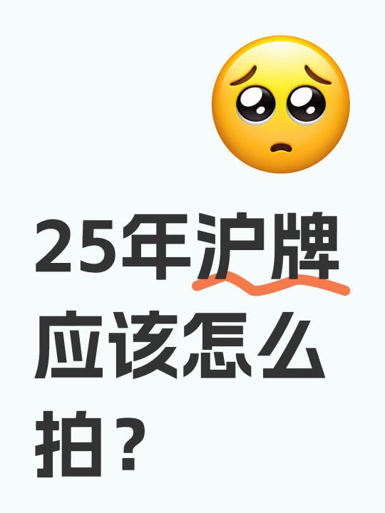 怎么才能快速拍中沪牌？