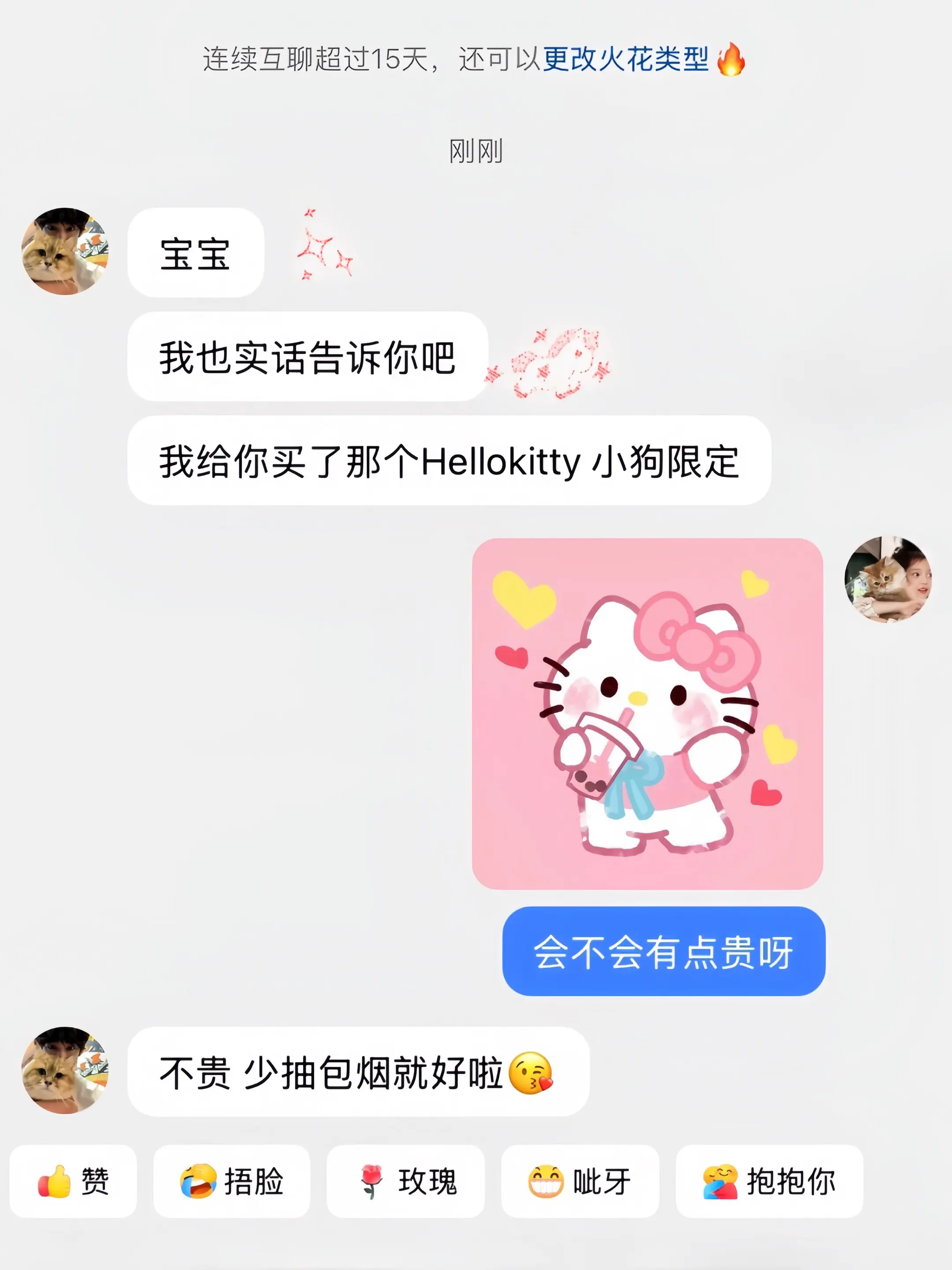 我确定在2026年1月29日收到了一只超可爱的冬日小狗kitty