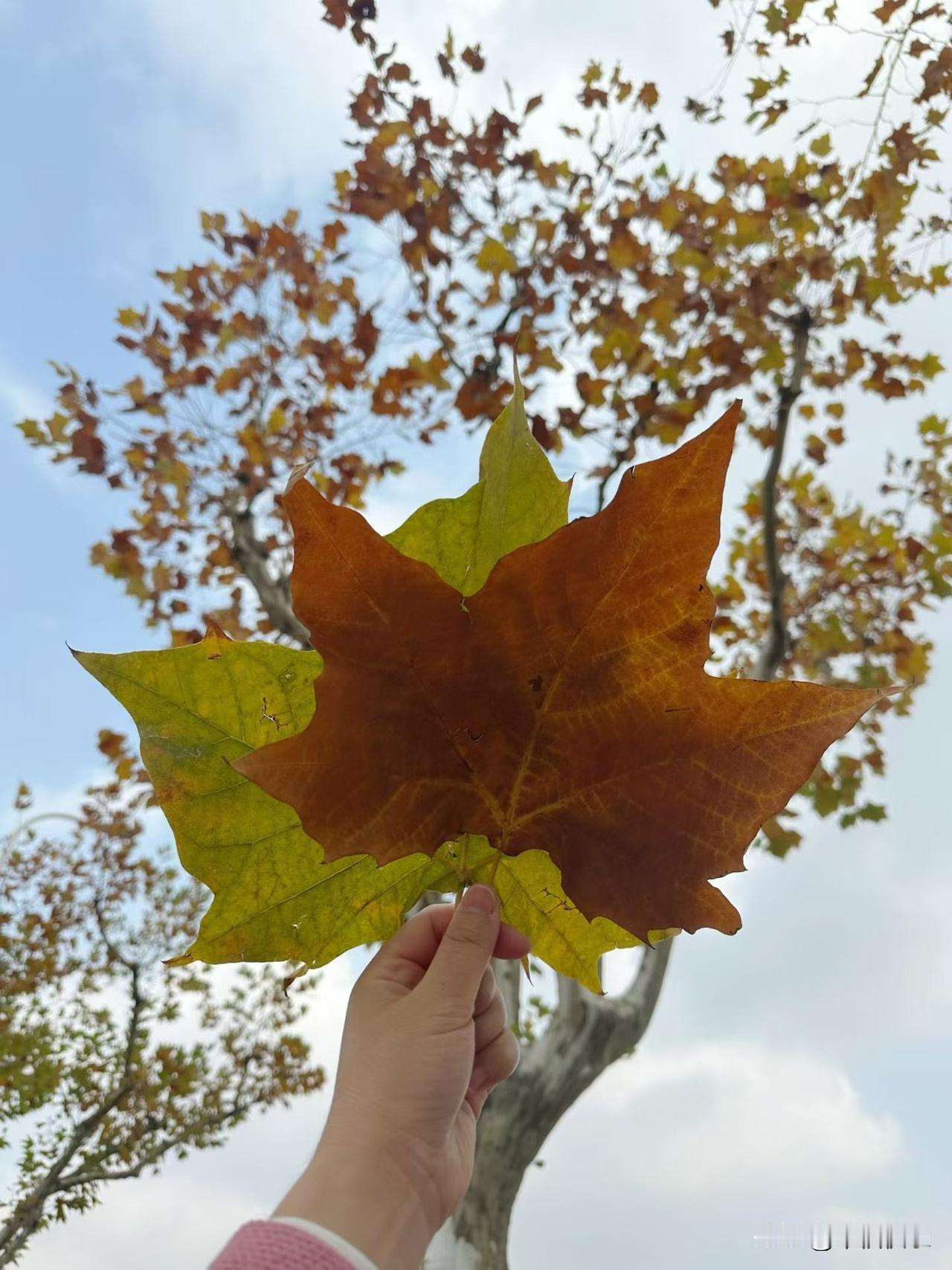 2025.12.01
周一，快乐