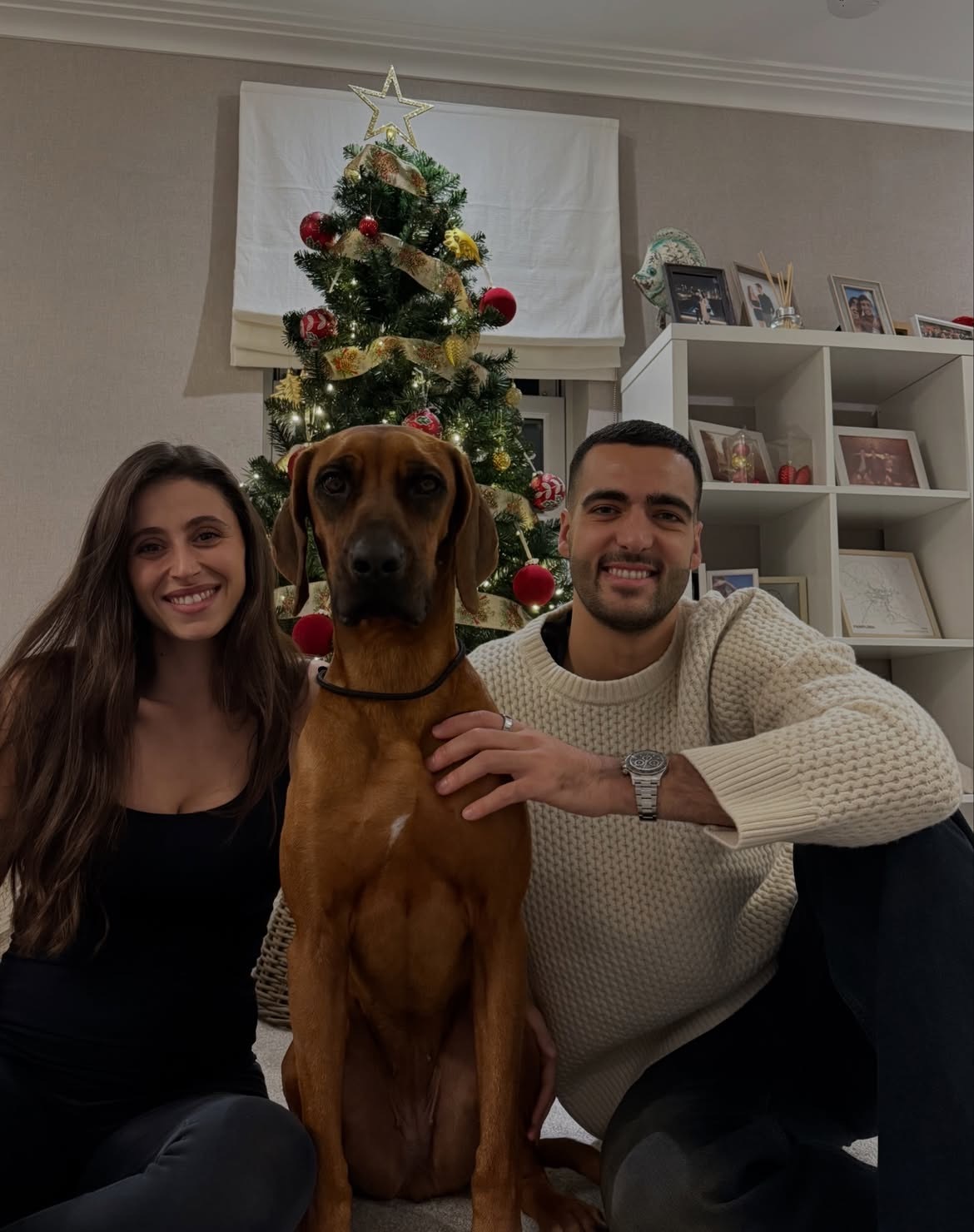 大家的圣诞节🎄 