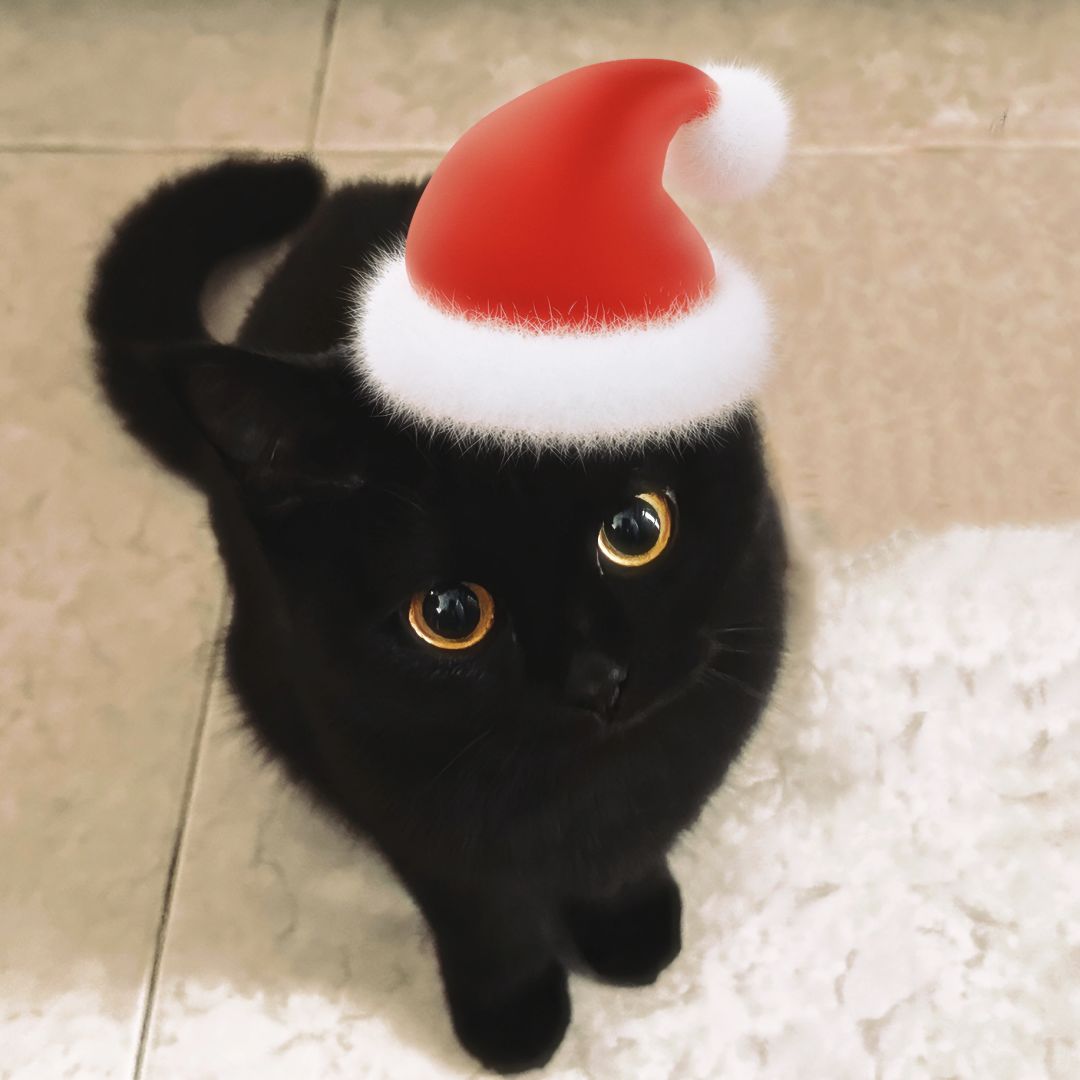 不好意思打扰您了