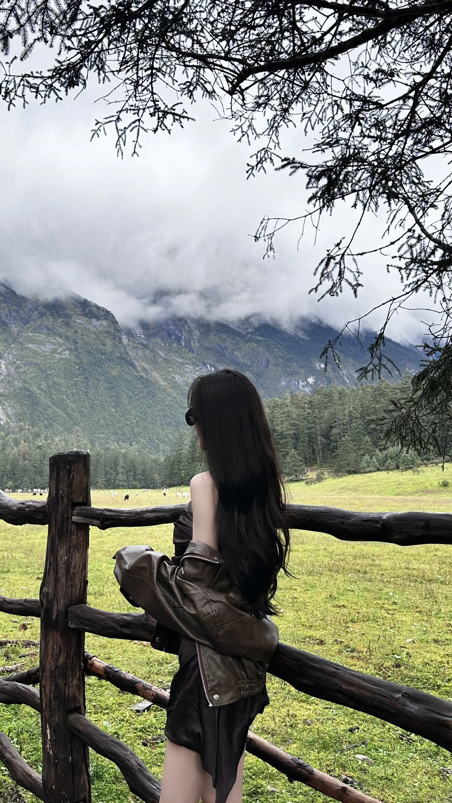 🏔