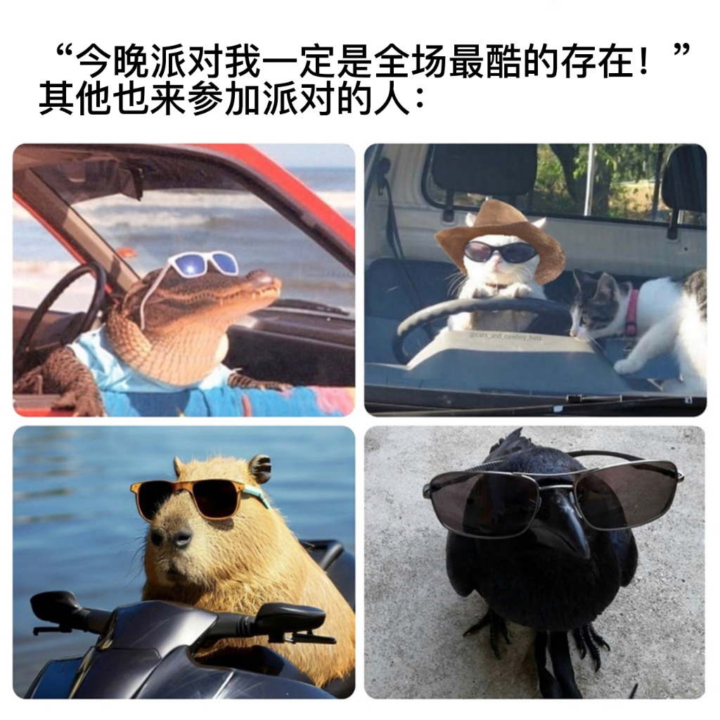 输了#今日memes# //#镜头下的笑容# ​​​