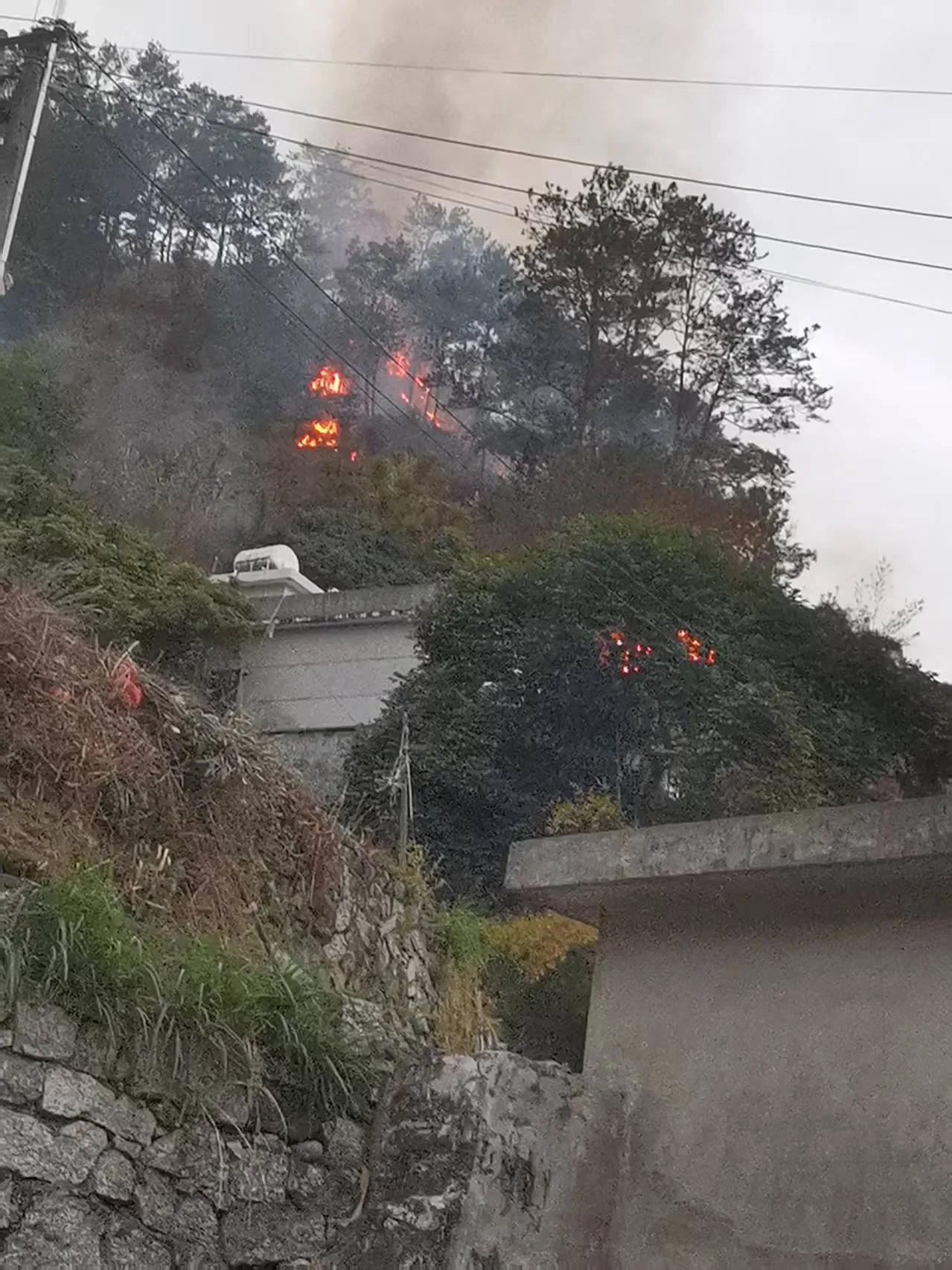 信宜大雾岭有人失火烧山。信宜大成镇石屏村，在大雾岭脚下的一个村庄，今晚被山火照亮