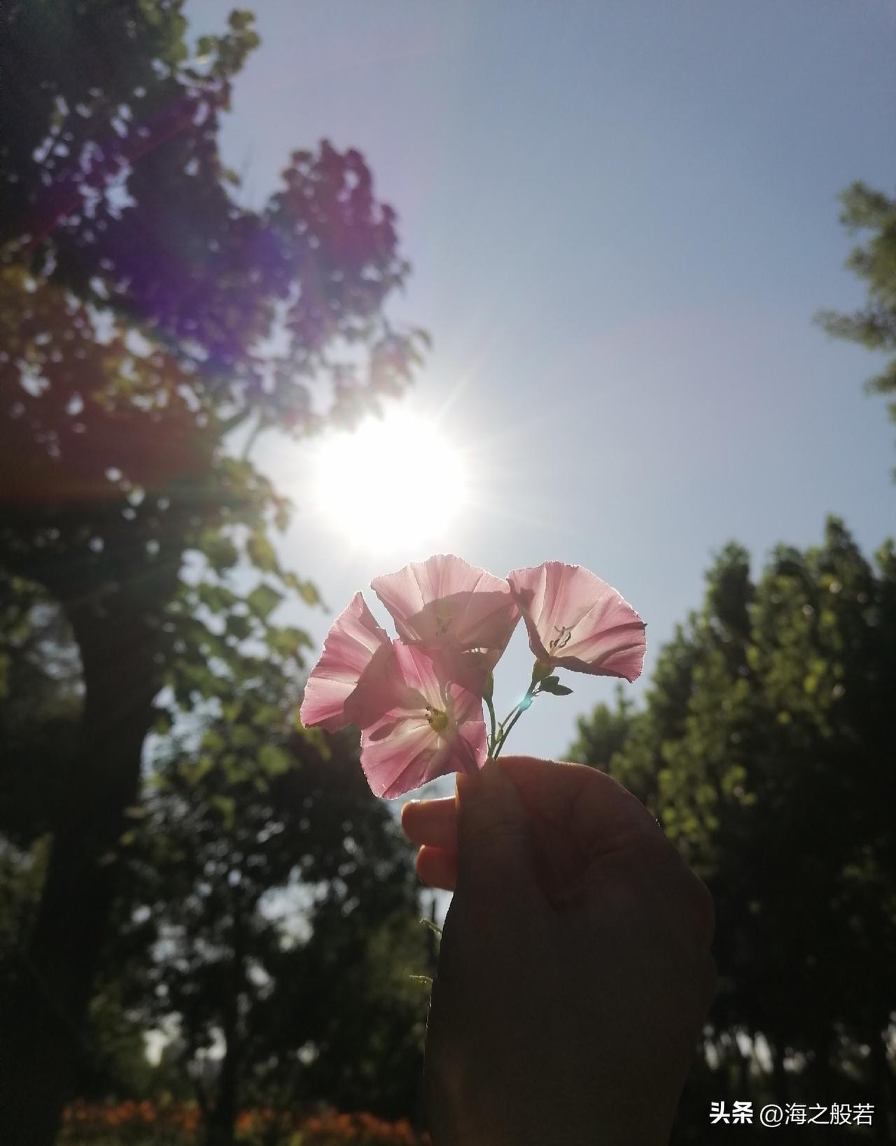 7日的北京，多云转阴，分散雷阵雨，傍晚至前半夜降雨明显，雷雨伴阵风7-8级，最高