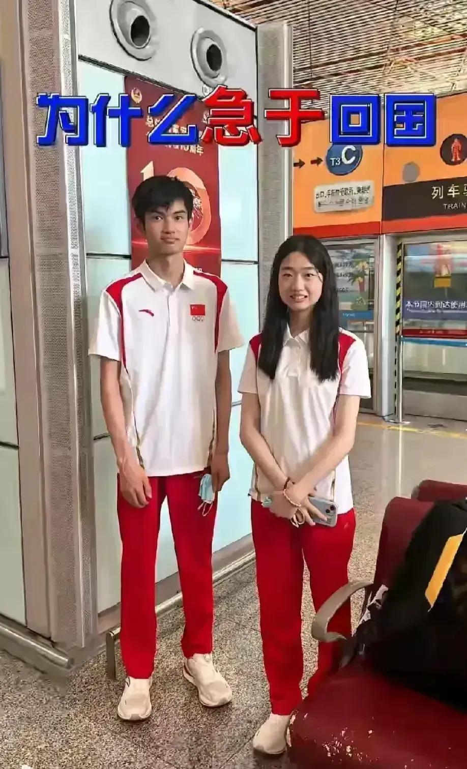 当很多赛事还在如火如荼的进行时，为我国获得这届奥运会首金的两小只已经悄然回国了！