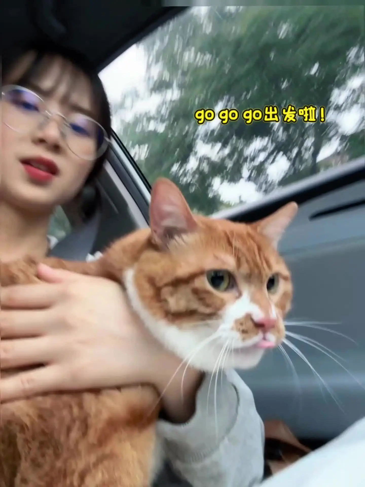 蛋卷：麻麻，猫生是旷野😻