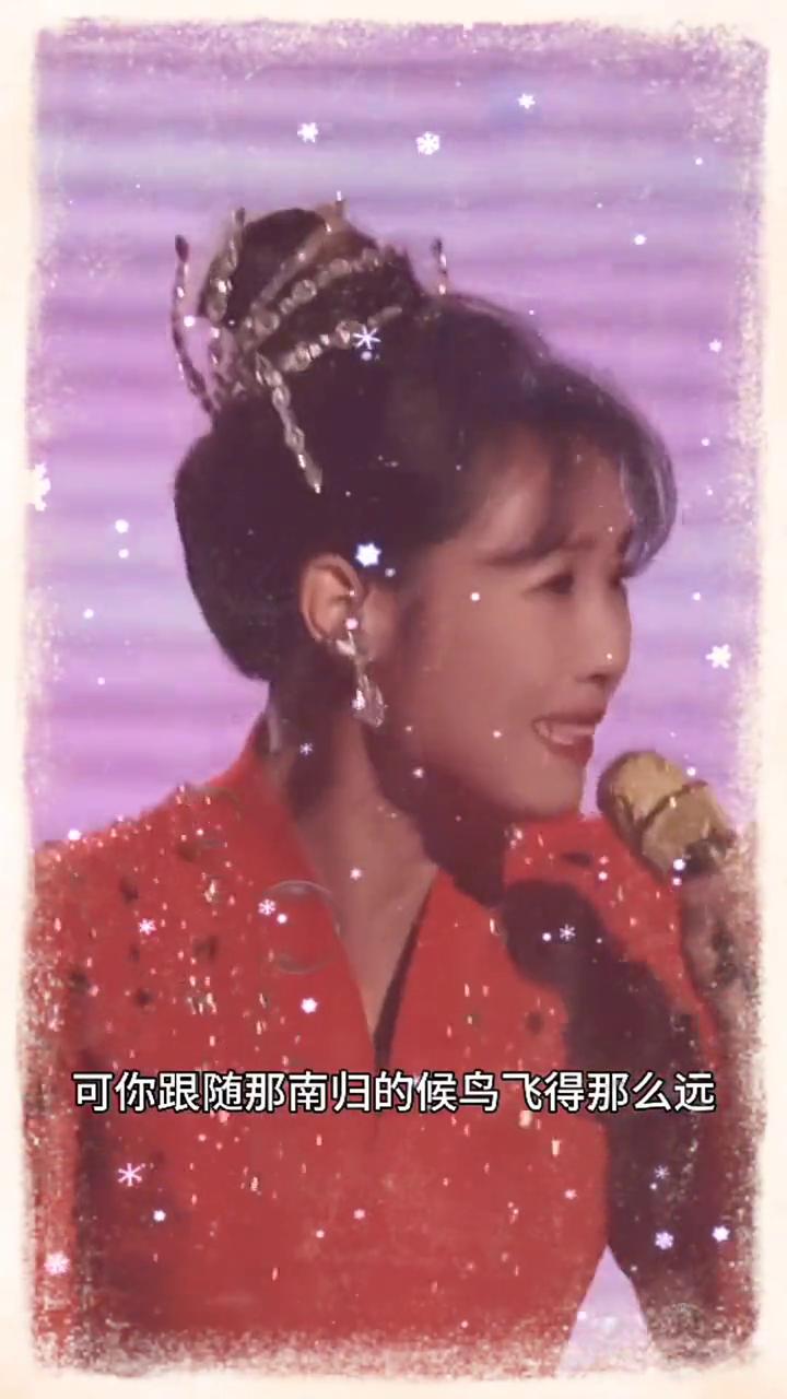 还记得你答应过我，不会让我把你找不见。可你跟随那南归的候鸟飞得那么远，爱像风筝断