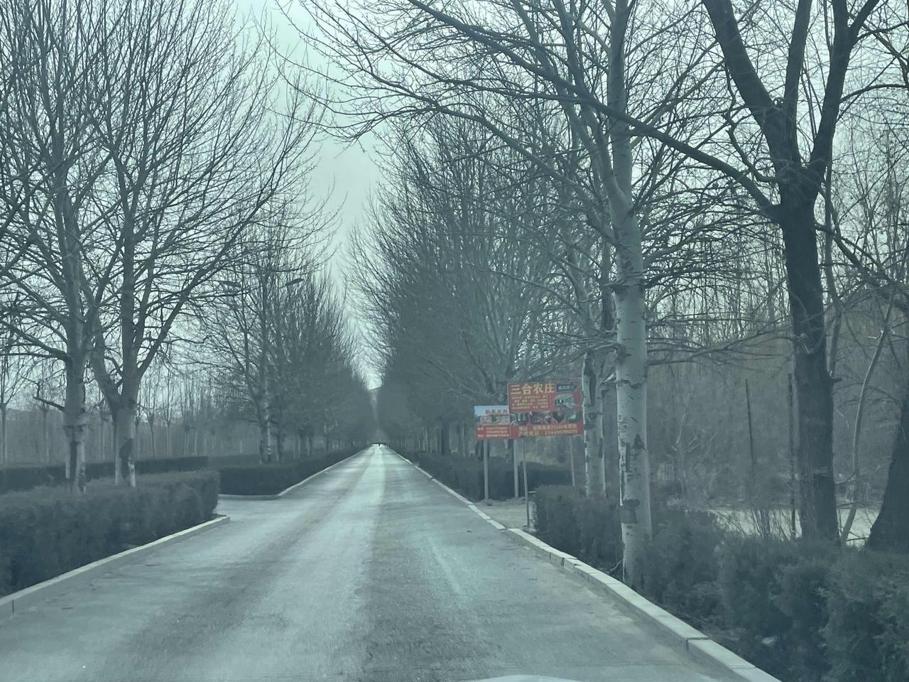 昨天晚上刷抖音的时候看到这样一段话说：人不能总呆在家里，要走出去才有精神，如果一