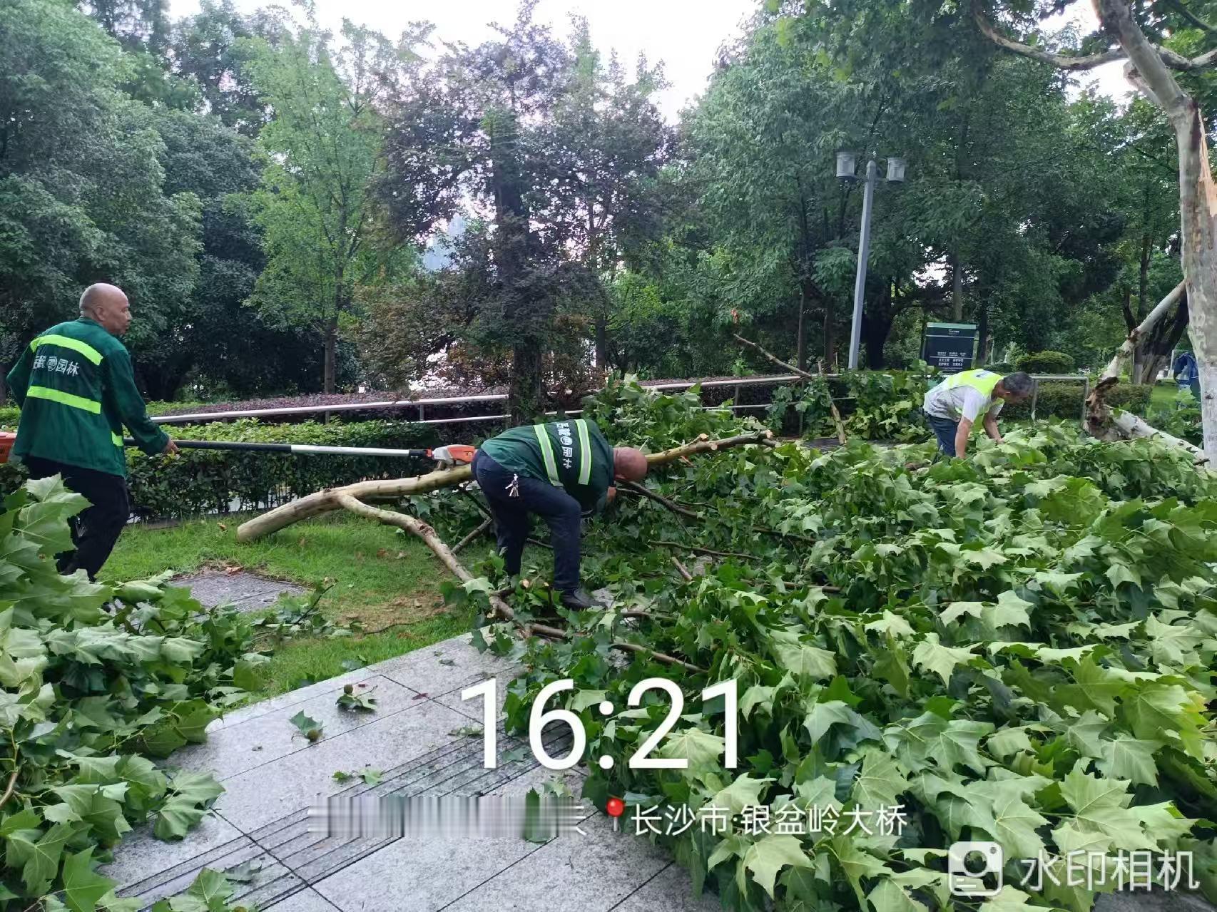 台风红霞来袭长沙城管在行动【逆风前行，长沙城管全力以赴筑牢安全防线】台风“红霞”