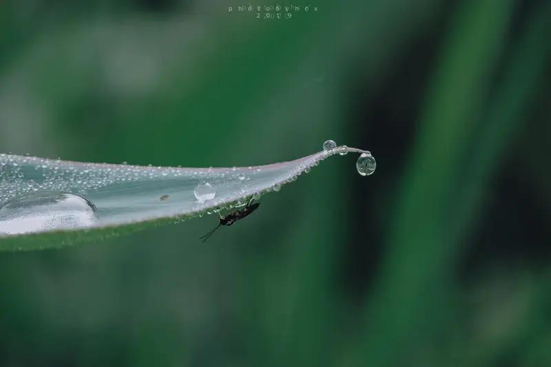 新手买车，那可是人生大事，可得多留个心眼。
购车前得做好准备。先盘算好自己能接受