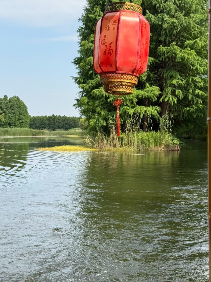 今天的虎丘湿地公园 