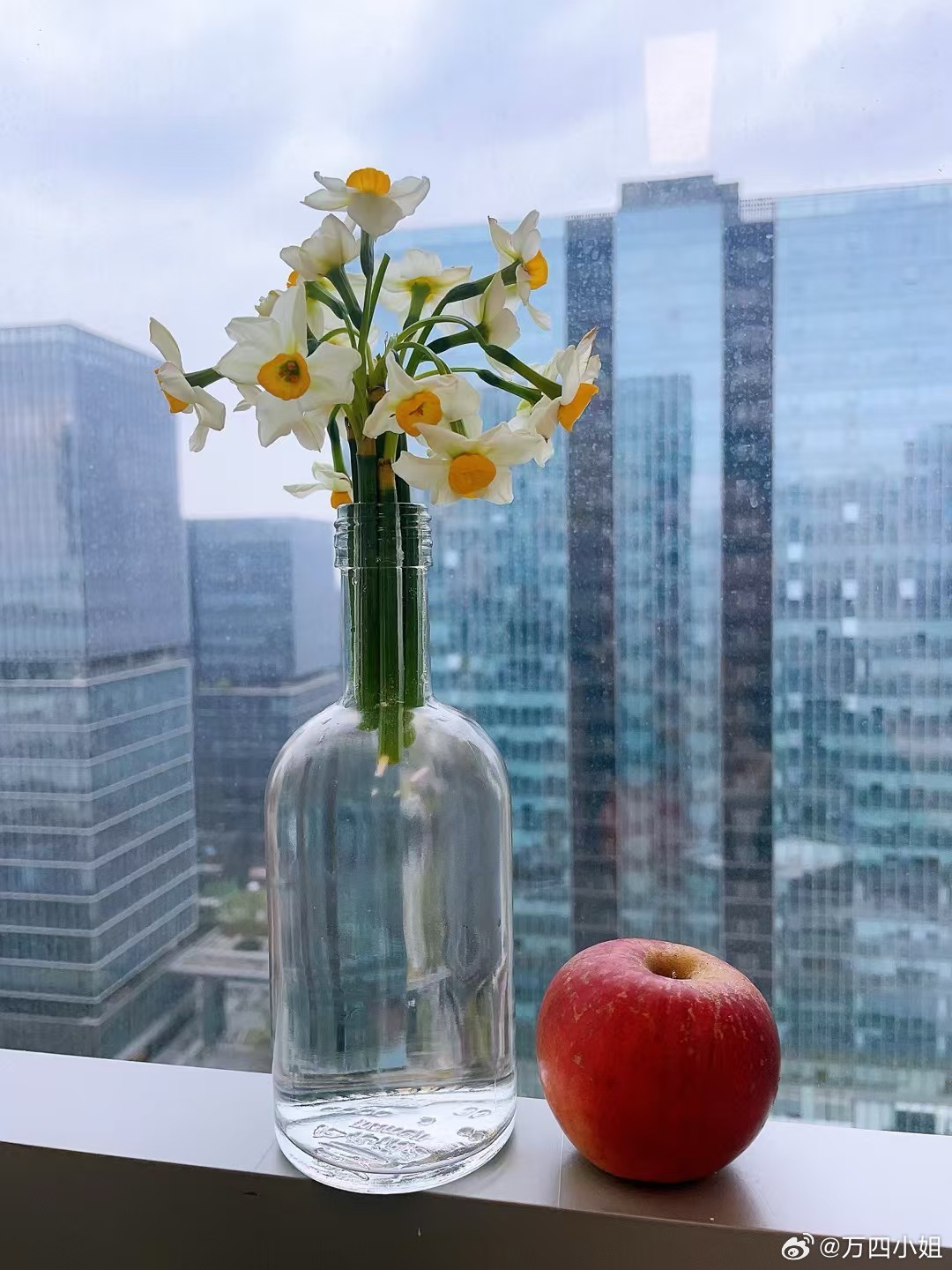 每天早起打卡真正的美，背后都是带着旺盛的生命力。早😊 ​​​